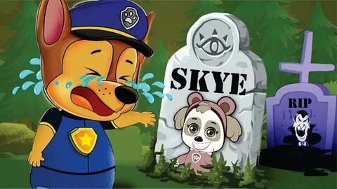 Paw Patrol Cartoon Skye RIP and Chase Crying Happy Kids TV C