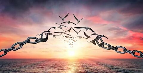 Being Free.