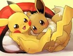 Évoli & Pikachu Cute pokemon wallpaper, Pokemon eeveelutions