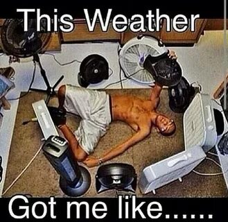 The Hot Weather Got Me Like. - 13 Pics Funny weather, Hot we