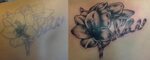 Pin by Jadie Swietanski on Tattoos Animal tattoo, Tattoos, A
