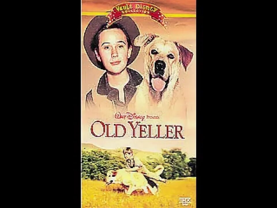Opening To Old Yeller 2002 VHS - YouTube