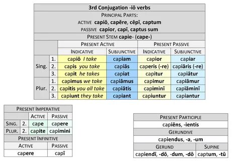 New Latin Grammar