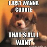 I just wanna cuddle Cute couples cuddling, Cute puppies, Pup
