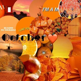 october orange aesthetic tumblr image by @just_mee