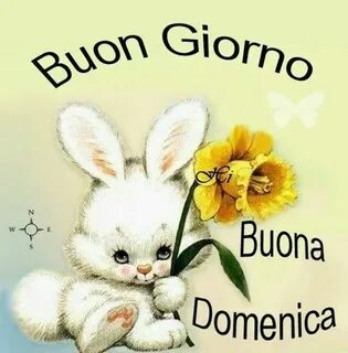 Immagini Buona Domenica 3108 Buona domenica, Domenica, Immag