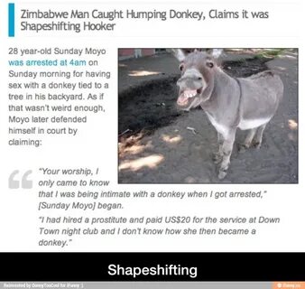 Zimbabwe Man Caught Humping Donkey, Claims it was Shapeshift