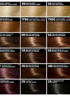 What will my future child look like? Brown hair chart, Hair 
