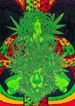 Trippy Weed Background : Trippy Weed Wallpapers Wallpaper Ca