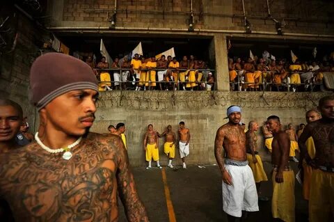 In El Salvador, Prisons Packed to the Bars Street tattoo, Pr