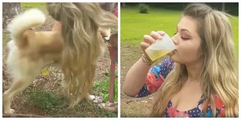 US woman drinks dog's urine, claims it helps her skin glow, 