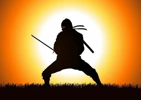 Well For statrters a Ninja Has the ability to move in silence, and adapt to...
