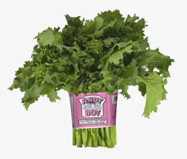 Broccoli - Andy Boy Broccoli Rabe, HD Png Download , Transpa