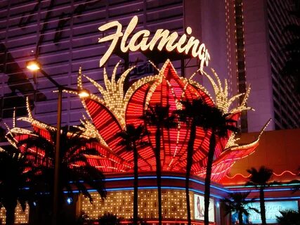 Flamingo Hilton Hotel Las Vegas - Best World Design Ideas