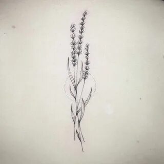 Pin by Маковей Ольга on tattoo 4 momma: lavender Lavender ta