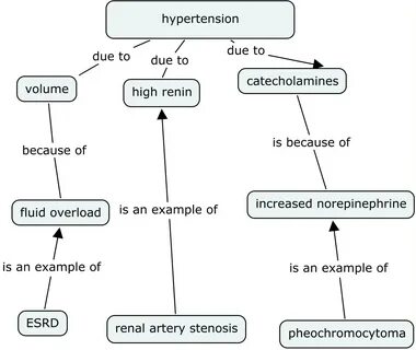 Nephron Power: Concept map of Types of Hypertension