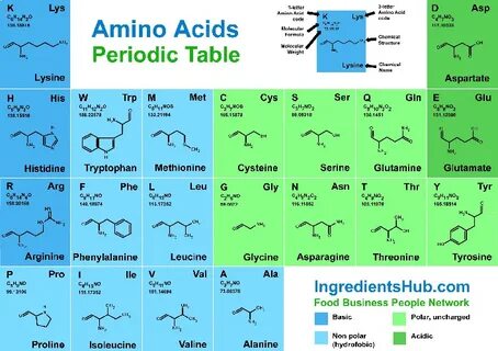 periodic chart of amino acids - Fomo