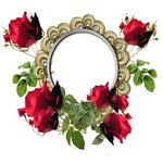 FoxArc Gallery - page 62 Flower frame, Rose flower photos, F