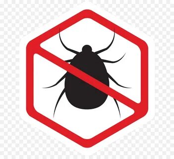 Cartoon Bee png download - 712*816 - Free Transparent Pest C