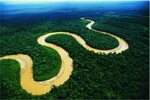 Ядовитая красота Амазонии: бурлящие потоки драгоценного мета