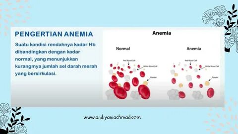 ANDIYANI ACHMAD: Semua Tentang Anemia yang Wajib Kamu Ketahu