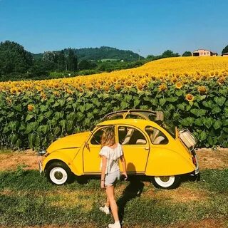 Yellow Aesthetics on Instagram: "Name a place you’d like to 
