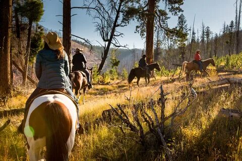 Living luxe the cowboy way in Montana - Orange County Regist