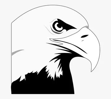 Eagle Bird Animal Head Strength Transparent Png Images - Bal