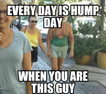 100 Happy Hump Day Memes