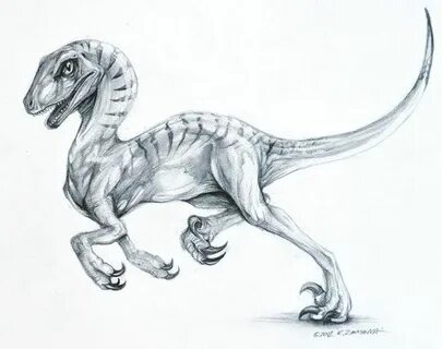 velociraptor tattoo - Google Search Dinosaur tattoos, Dinosa