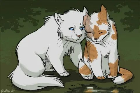 Lostface: Now I Know by Kobb Warrior cats art, Warrior cats,