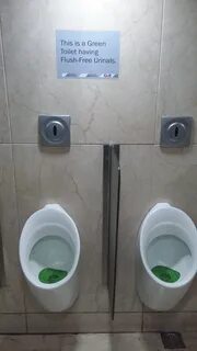 File:Green Toilet.jpeg - Wikimedia Commons