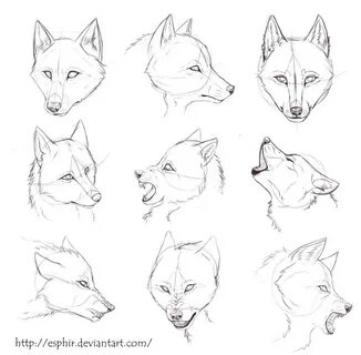 Anime Wolf Ears Drawing - AIA