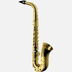 Alto Saxophone - 3D Model by TMTRNoosa