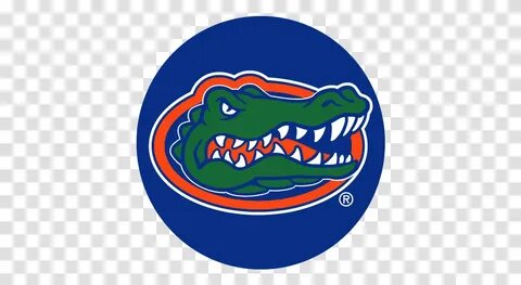 Florida Gators Football Uf Redbubble Stickers, Clothing, Lab