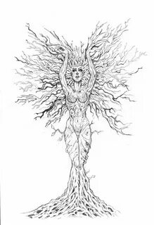 A Dryad sketch Tree of life artwork, Tree of life art, Tree 