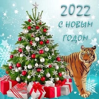 Поздравления с Новым 2022 годом Тигра (33 фото) 🔥 Прикольные