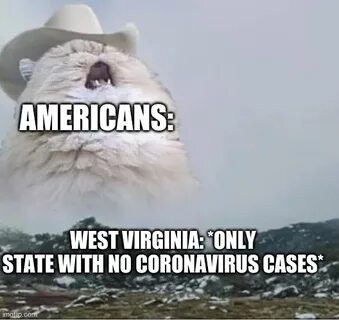 Country Roads Cat Memes - Imgflip