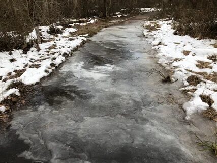 File:2019-01-22 16 18 28 Ice on a path within Horsepen Run S