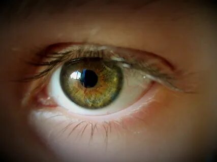 Eye Color Green Or Hazel