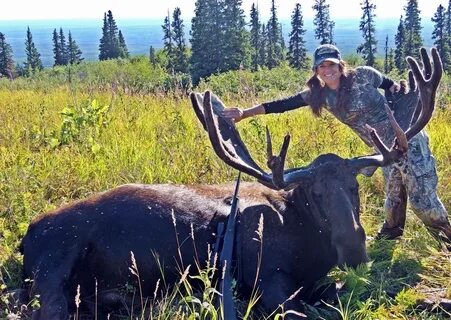 Huge Moose Pictures on Animal Picture Society