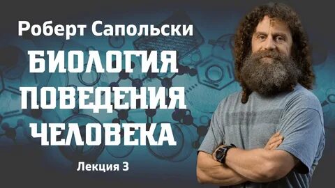 Роберт Сапольски. Биология поведения человека. Лекция 3 - YouTube