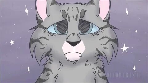 The Moon Song- Warrior Cats MAP - YouTube