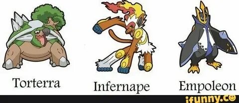 Details about 6IV Shiny Infernape Empoleon & Torterra Pokemo