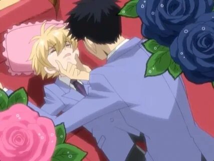 Mori-Sempai and Honey-Sempai XD Host club, Ouran high school