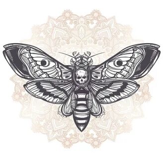 Butterfly Tattoo Stencils For Women - Julchens Blog Welt