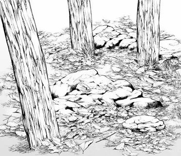 How To Draw A Forest Background posted by Sarah Cunningham