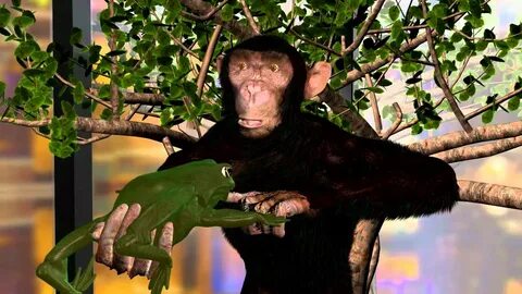 Monkey Rapes a Frog - The Truth Behind the Scenes - YouTube