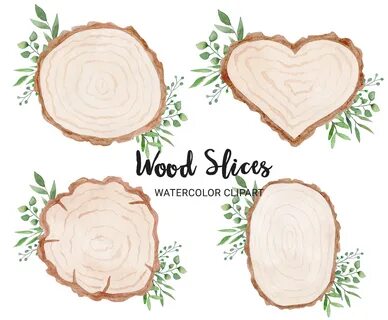 Wood Frames Clipart Tree Slices Wood Slice Clipart Nature Wo
