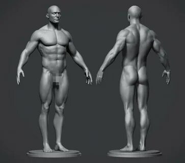 FlippedNormals в Твиттере: "Realistic Male Body Basemesh by 